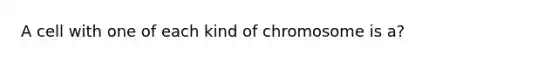 A cell with one of each kind of chromosome is a?