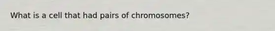 What is a cell that had pairs of chromosomes?