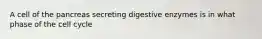 A cell of the pancreas secreting digestive enzymes is in what phase of the cell cycle