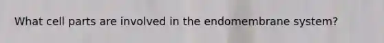 What cell parts are involved in the endomembrane system?