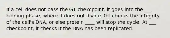 If a cell does not pass the G1 chekcpoint, it goes into the ___ holding phase, where it does not divide. G1 checks the integrity of the cell's DNA, or else protein ____ will stop the cycle. At ___ checkpoint, it checks it the DNA has been replicated.