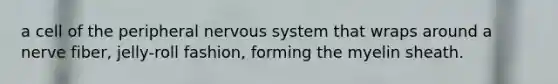 a cell of the peripheral nervous system that wraps around a nerve fiber, jelly-roll fashion, forming the myelin sheath.