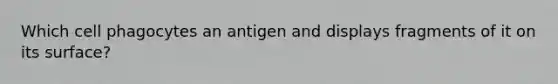 Which cell phagocytes an antigen and displays fragments of it on its surface?