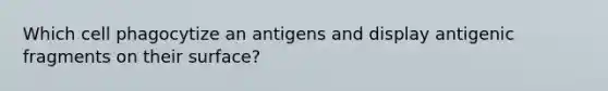 Which cell phagocytize an antigens and display antigenic fragments on their surface?