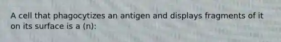 A cell that phagocytizes an antigen and displays fragments of it on its surface is a (n):