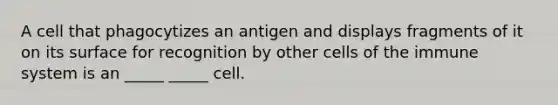 A cell that phagocytizes an antigen and displays fragments of it on its surface for recognition by other cells of the immune system is an _____ _____ cell.