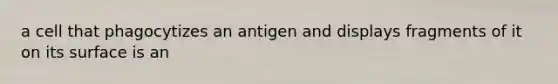 a cell that phagocytizes an antigen and displays fragments of it on its surface is an