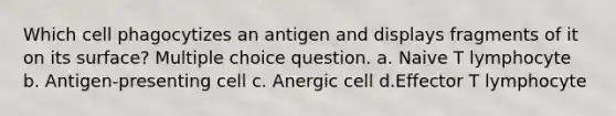 Which cell phagocytizes an antigen and displays fragments of it on its surface? Multiple choice question. a. Naive T lymphocyte b. Antigen-presenting cell c. Anergic cell d.Effector T lymphocyte