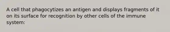 A cell that phagocytizes an antigen and displays fragments of it on its surface for recognition by other cells of the immune system: