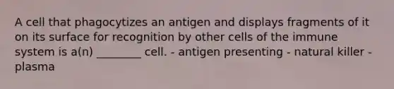 A cell that phagocytizes an antigen and displays fragments of it on its surface for recognition by other cells of the immune system is a(n) ________ cell. - antigen presenting - natural killer - plasma