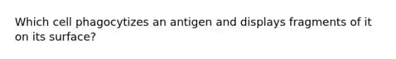 Which cell phagocytizes an antigen and displays fragments of it on its surface?