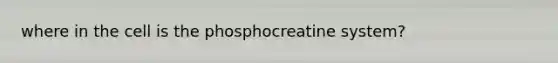 where in the cell is the phosphocreatine system?