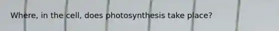 Where, in the cell, does photosynthesis take place?