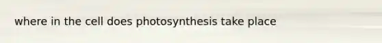 where in the cell does photosynthesis take place