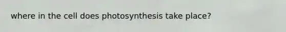 where in the cell does photosynthesis take place?