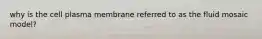 why is the cell plasma membrane referred to as the fluid mosaic model?