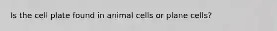 Is the cell plate found in animal cells or plane cells?