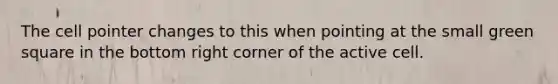The cell pointer changes to this when pointing at the small green square in the bottom right corner of the active cell.
