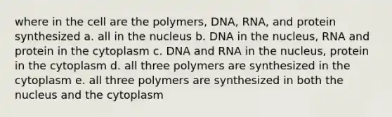 where in the cell are the polymers, DNA, RNA, and protein synthesized a. all in the nucleus b. DNA in the nucleus, RNA and protein in the cytoplasm c. DNA and RNA in the nucleus, protein in the cytoplasm d. all three polymers are synthesized in the cytoplasm e. all three polymers are synthesized in both the nucleus and the cytoplasm