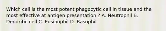 Which cell is the most potent phagocytic cell in tissue and the most effective at antigen presentation ? A. Neutrophil B. Dendritic cell C. Eosinophil D. Basophil