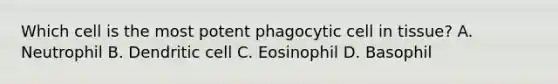 Which cell is the most potent phagocytic cell in tissue? A. Neutrophil B. Dendritic cell C. Eosinophil D. Basophil