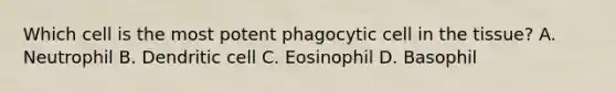 Which cell is the most potent phagocytic cell in the tissue? A. Neutrophil B. Dendritic cell C. Eosinophil D. Basophil