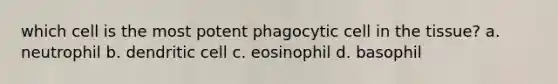 which cell is the most potent phagocytic cell in the tissue? a. neutrophil b. dendritic cell c. eosinophil d. basophil