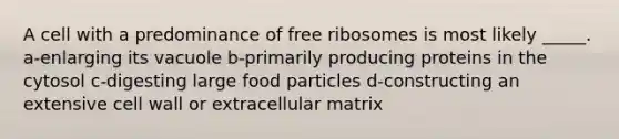 A cell with a predominance of free ribosomes is most likely _____. a-enlarging its vacuole b-primarily producing proteins in the cytosol c-digesting large food particles d-constructing an extensive cell wall or extracellular matrix