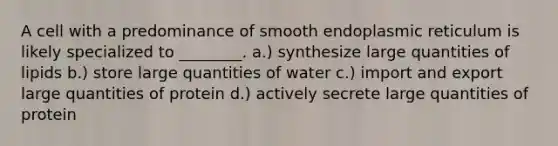 A cell with a predominance of smooth endoplasmic reticulum is likely specialized to ________. a.) synthesize large quantities of lipids b.) store large quantities of water c.) import and export large quantities of protein d.) actively secrete large quantities of protein