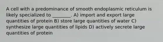 A cell with a predominance of smooth endoplasmic reticulum is likely specialized to ________. A) import and export large quantities of protein B) store large quantities of water C) synthesize large quantities of lipids D) actively secrete large quantities of protein