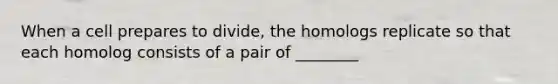 When a cell prepares to divide, the homologs replicate so that each homolog consists of a pair of ________