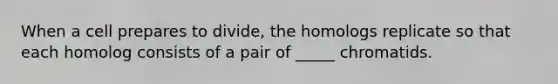 When a cell prepares to divide, the homologs replicate so that each homolog consists of a pair of _____ chromatids.