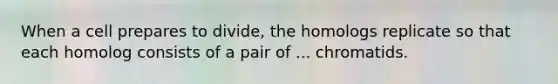 When a cell prepares to divide, the homologs replicate so that each homolog consists of a pair of ... chromatids.