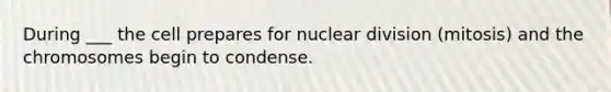 During ___ the cell prepares for nuclear division (mitosis) and the chromosomes begin to condense.