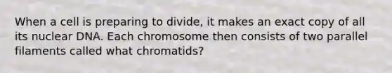 When a cell is preparing to divide, it makes an exact copy of all its nuclear DNA. Each chromosome then consists of two parallel filaments called what chromatids?