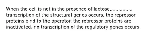 When the cell is not in the presence of lactose,............... transcription of the structural genes occurs. the repressor proteins bind to the operator. the repressor proteins are inactivated. no transcription of the regulatory genes occurs.