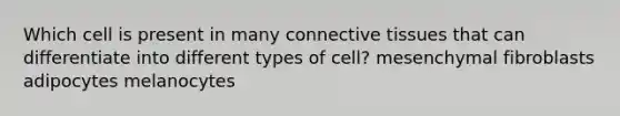 Which cell is present in many connective tissues that can differentiate into different types of cell? mesenchymal fibroblasts adipocytes melanocytes