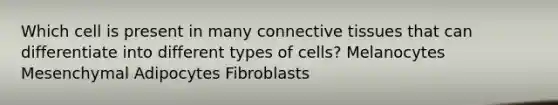 Which cell is present in many connective tissues that can differentiate into different types of cells? Melanocytes Mesenchymal Adipocytes Fibroblasts