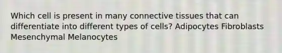 Which cell is present in many connective tissues that can differentiate into different types of cells? Adipocytes Fibroblasts Mesenchymal Melanocytes