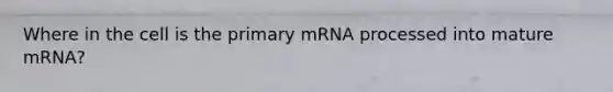 Where in the cell is the primary mRNA processed into mature mRNA?