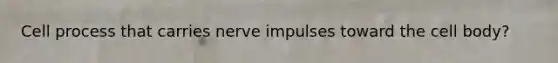 Cell process that carries nerve impulses toward the cell body?