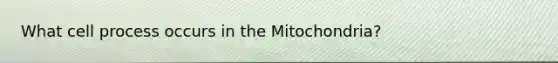 What cell process occurs in the Mitochondria?