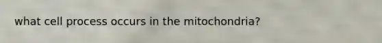 what cell process occurs in the mitochondria?