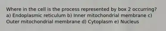 Where in the cell is the process represented by box 2 occurring? a) Endoplasmic reticulum b) Inner mitochondrial membrane c) Outer mitochondrial membrane d) Cytoplasm e) Nucleus