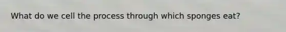 What do we cell the process through which sponges eat?