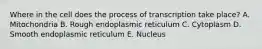 Where in the cell does the process of transcription take place? A. Mitochondria B. Rough endoplasmic reticulum C. Cytoplasm D. Smooth endoplasmic reticulum E. Nucleus