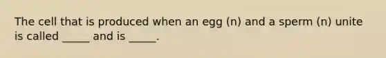 The cell that is produced when an egg (n) and a sperm (n) unite is called _____ and is _____.