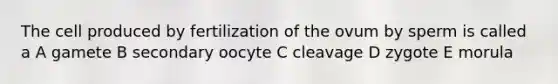 The cell produced by fertilization of the ovum by sperm is called a A gamete B secondary oocyte C cleavage D zygote E morula