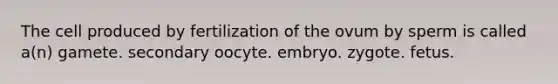 The cell produced by fertilization of the ovum by sperm is called a(n) gamete. secondary oocyte. embryo. zygote. fetus.