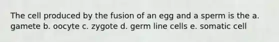 The cell produced by the fusion of an egg and a sperm is the a. gamete b. oocyte c. zygote d. germ line cells e. somatic cell